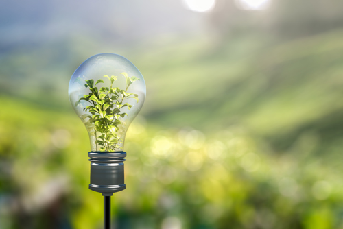 Lightbulb on a background of green scenery