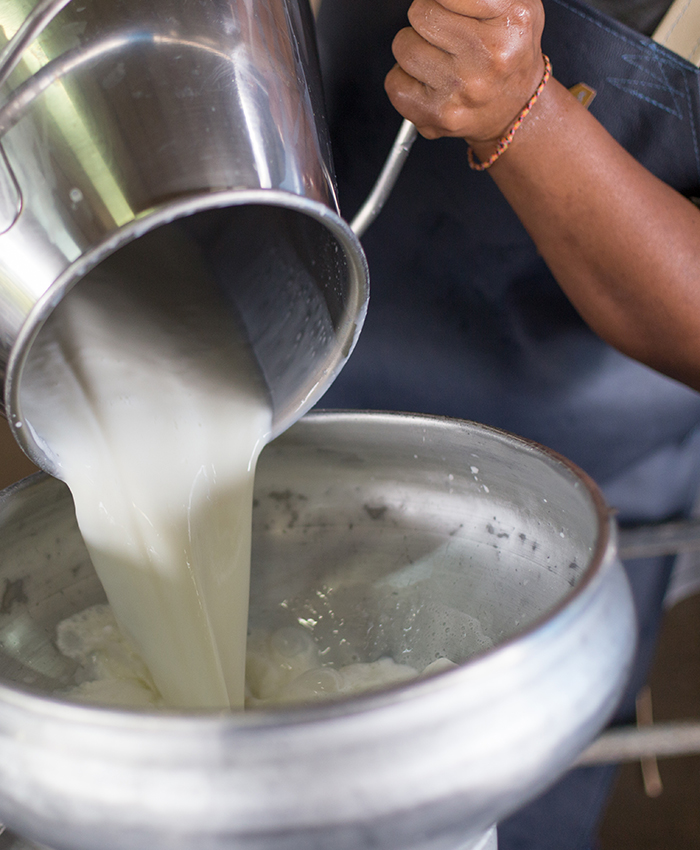 Person pouring milk