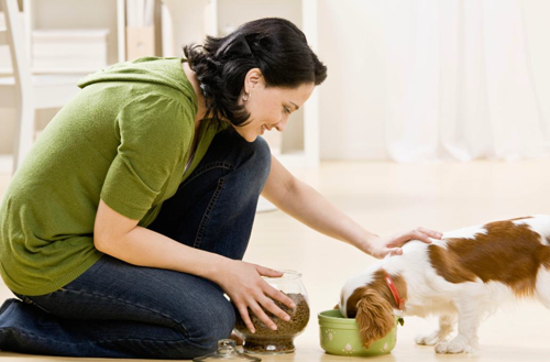 Woman And Cat