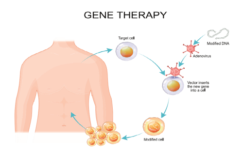 Learn more about gene and cell therapies - Barentz