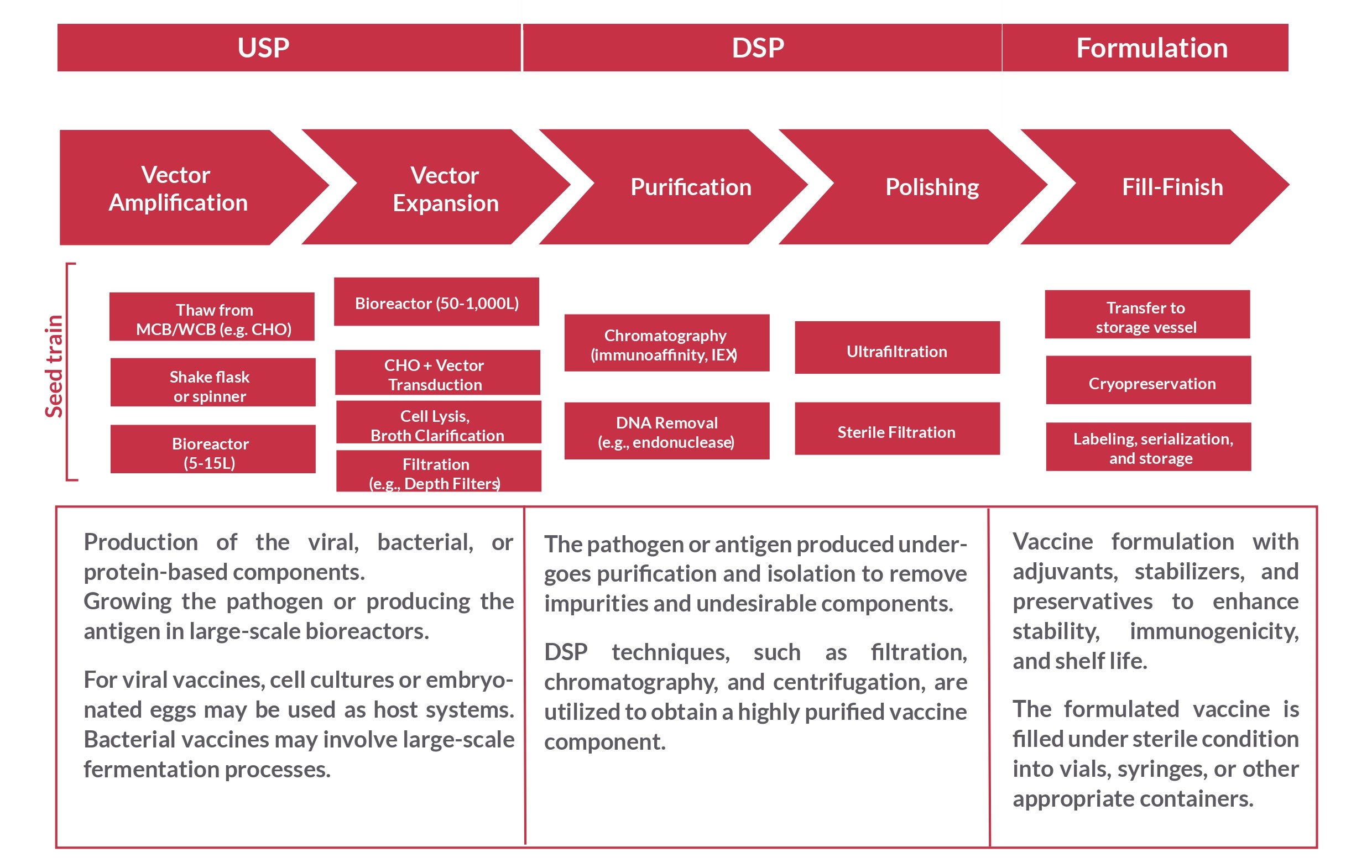 BARENTZ Leaflet Vaccines 3 Page 0001