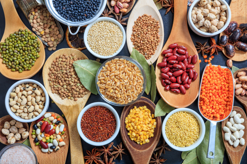 Plant proteins