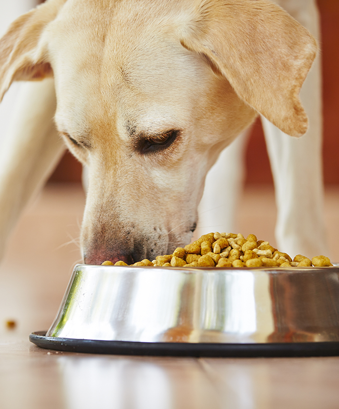 Dry Pet Food